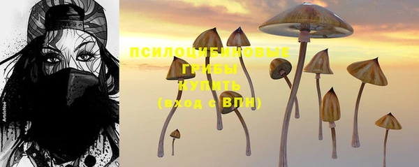 МДПВ Сафоново