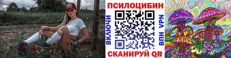 мориарти телеграм  Салават  Псилоцибиновые грибы Magic Shrooms 