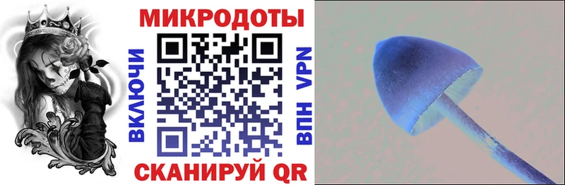 Галлюциногенные грибы Psilocybe Салават