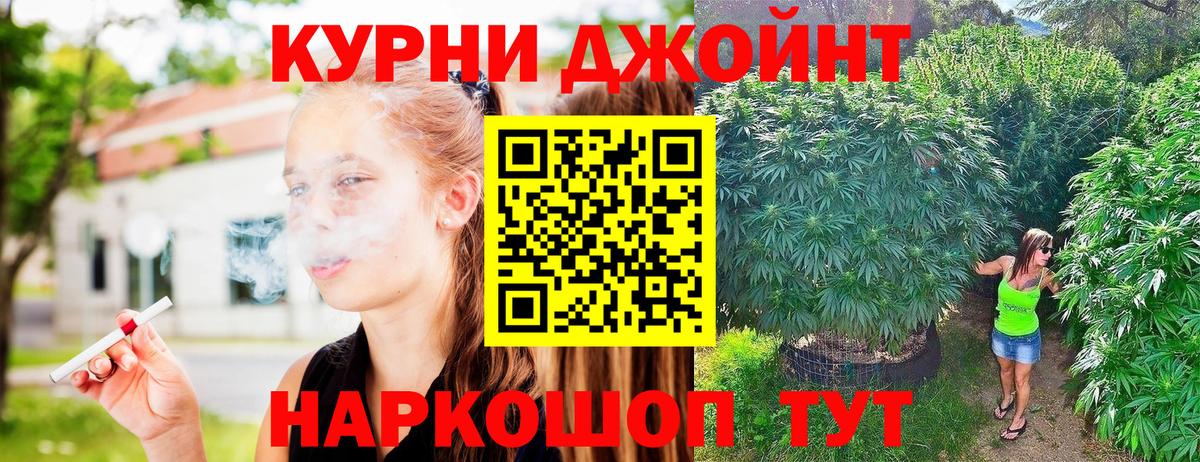 Конопля гибрид Салават